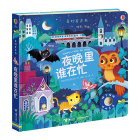 尤斯伯恩奇妙发声书·夜晚里谁在忙 单册 0-3岁宝宝玩具书 儿童早教启蒙