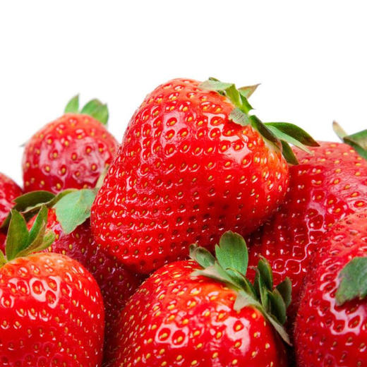 辽宁丹东红颜草莓 特级大果2.5斤 商品图3