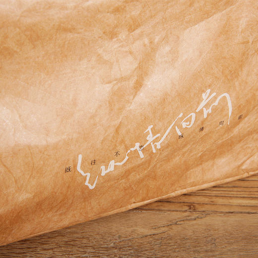 纵情向前系列 单肩包 商品图2