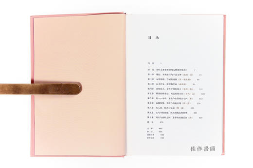 中国绘画中的“女性空间”/巫鸿2019新书/全新现货 商品图2