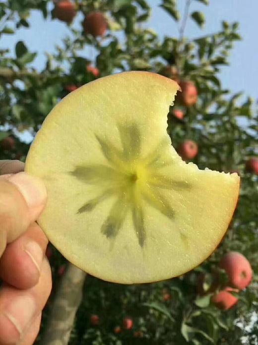 -阿克苏苹果宝宝装买二赠一（原价204元/3件，感恩回馈仅需136元3件搬回家） 商品图4