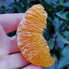 【团购特惠】耙耙柑，自然熟，浓甜微酸！原味自然熟！没有狠活放心拍！ 商品缩略图8
