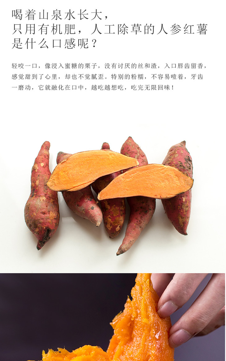 韶关人参红薯稀有优质品种好环境种出好番薯甜蜜十足惊艳无比