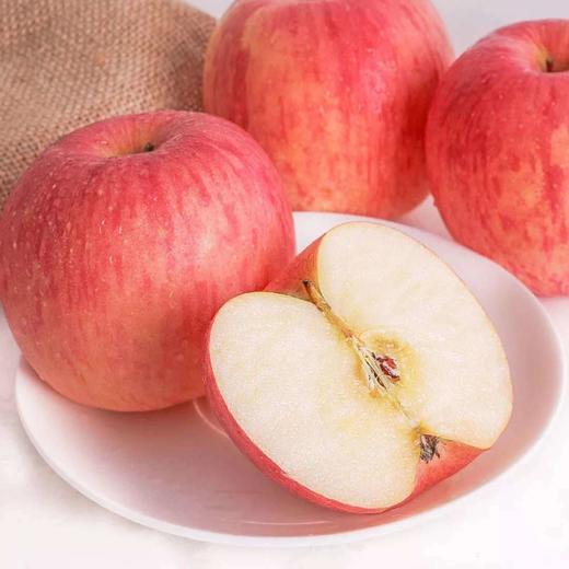 【新品】洛川红富士 500g/份 商品图1