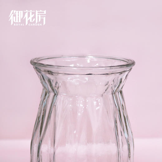 水晶晶 · 玻璃花瓶 商品图1