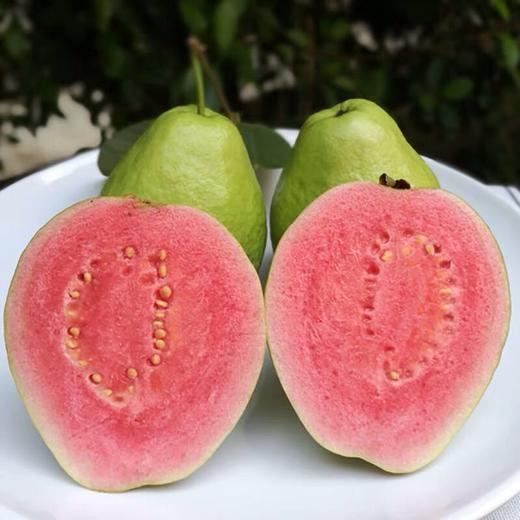 台湾红心芭乐番石榴4颗份约3斤新鲜红肉