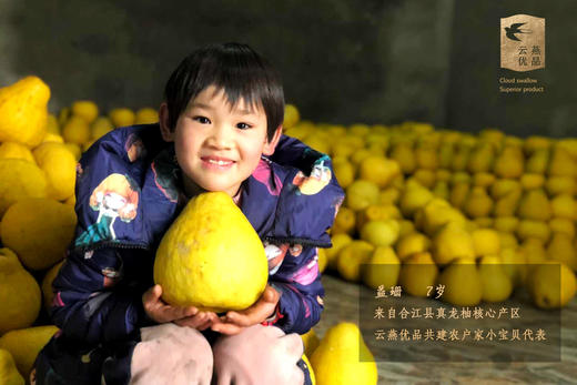 【云燕优品】合江真龙柚孕妇小孩老人新鲜当季水果整箱包邮 商品图2