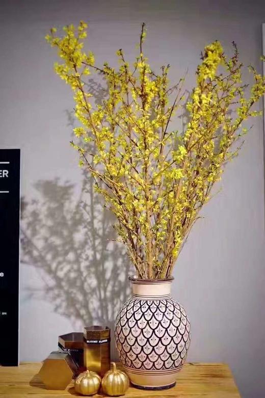 荷兰进口花材寸寸金串串金连翘热卖 商品图4