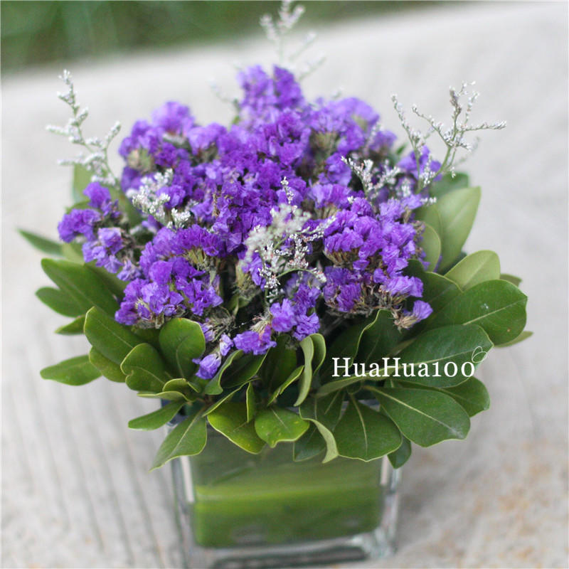 勿忘我丨小瓶花