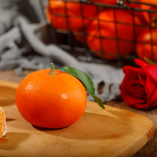 广州从化玫瑰柑 果径65-75mm 5斤/箱