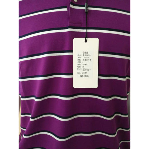 纯棉夏季男装间条翻领短袖恤衫休闲上衣半袖男款  17WD-05 商品图2