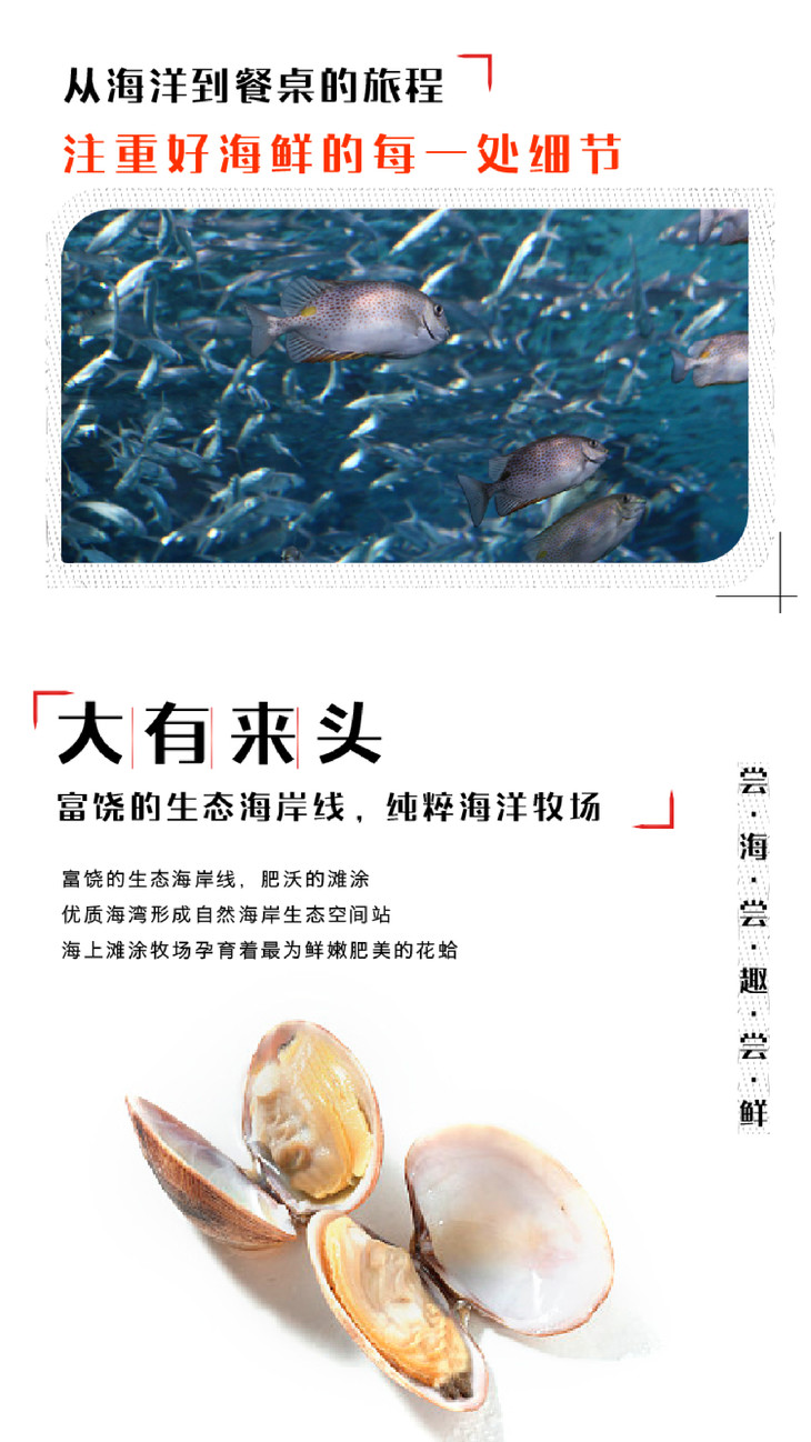 2 售罄【鱼专家】麻辣半壳花蛤 300g独立小包装 麻辣鲜香