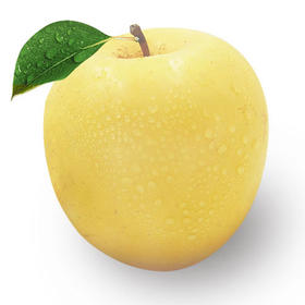 3.5kg国产白苹果 新品种白苹果 黄苹果礼盒