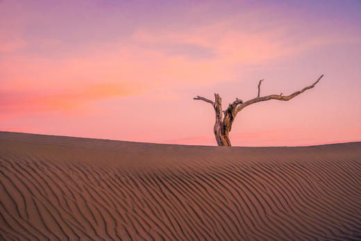 【越野车9日行摄】从S101公路+独库公路+塔克拉玛干沙漠+和田+喀什 商品图0