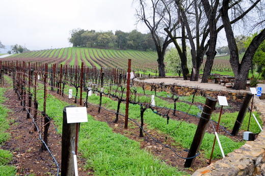 美国贾斯汀赤霞珠红葡萄酒2021 Justin Vineyards & Winery Cabernet Sauvignon, Paso Robles, USA  商品图2