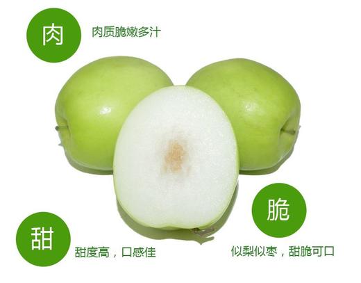 台湾牛奶蜜枣 商品图3