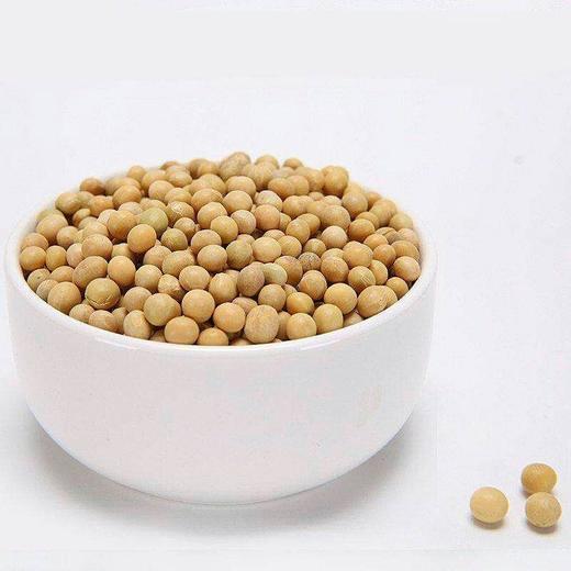 【黄豆】黄豆粒非转基因500g/份 商品图1