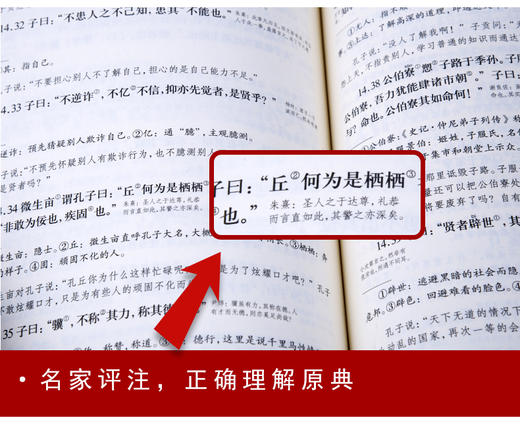 正版包邮 文白对照《四书五经》全本无删减 商品图3