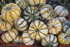 【预发回归】卡券-折扣-下单