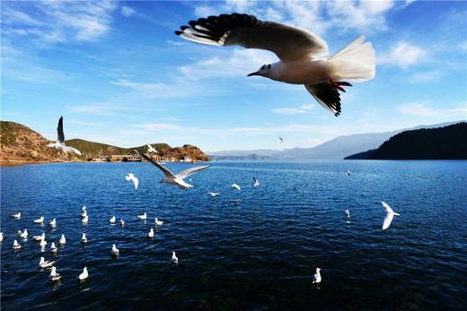 mjz创建的线下课 商品图0