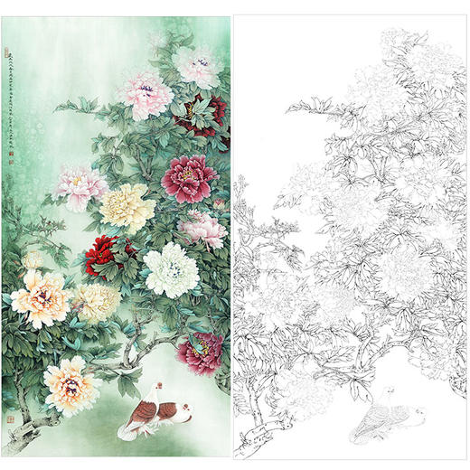 李晓明竖幅工笔花鸟白描底稿-牡丹双鸽-有步骤图及文字解析-KD25 商品图0