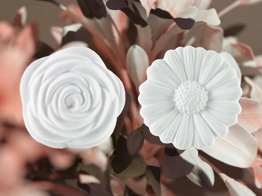 | 乐香·杜唯香水单瓶装 经典50ml 商品图6