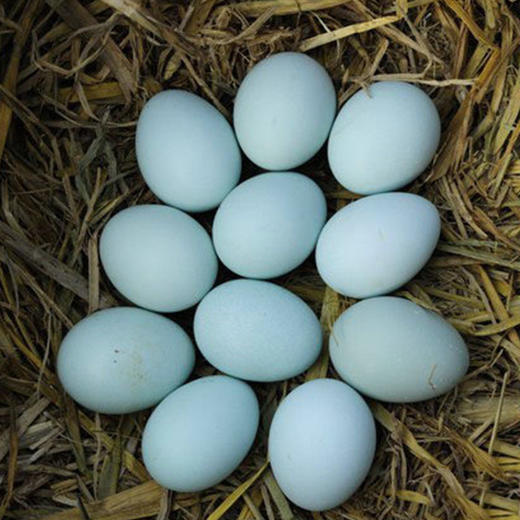 【黔货出山】【长顺绿壳鸡蛋】20枚装,全国包邮,偏远地区不发货