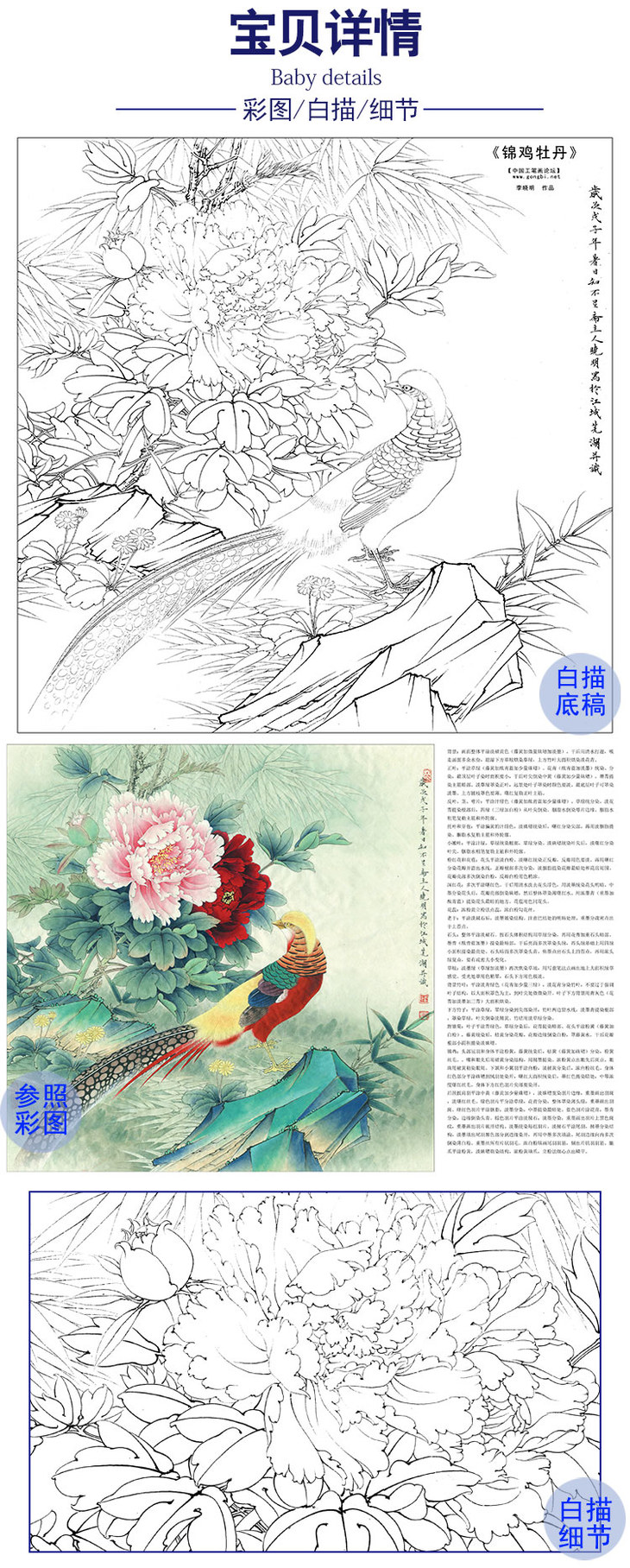 李晓明工笔花鸟白描底稿牡丹锦鸡斗方小品册页ka12