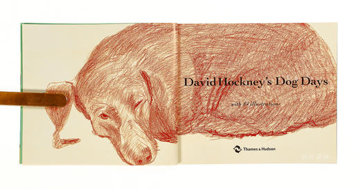 David Hockney's Dog Days 大卫·霍克尼的狗狗时光 商品图2