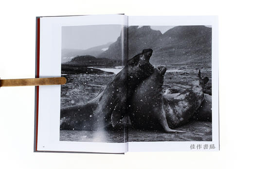 Sebastiao Salgado.Genesis/ 塞巴斯蒂昂·萨尔加多:创世纪/英文原版大开本摄影画册/Taschen XL系列 商品图3