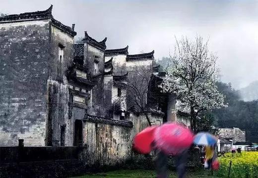 皖南油菜花季丨 三清山（入住“山上最好酒店”女神宾馆）、“云上油菜花”石潭、查平坦、江岭、庆源6天摄影团 商品图7