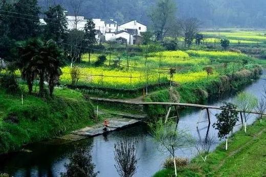 皖南油菜花季丨 三清山（入住“山上最好酒店”女神宾馆）、“云上油菜花”石潭、查平坦、江岭、庆源6天摄影团 商品图6