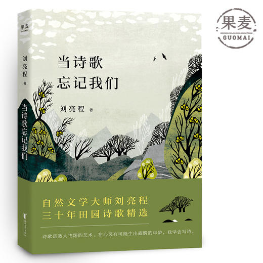 当诗歌忘记我们 自然文学大师刘亮程三十年田园诗歌精选 当代 诗歌 果麦图书 商品图0