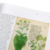 预售 【中商原版】伏尼契手稿 The Voynich Manuscript 英文原版 Raymond Clemens 耶鲁大学善本珍藏 全彩手稿 草本占星药理 商品缩略图3