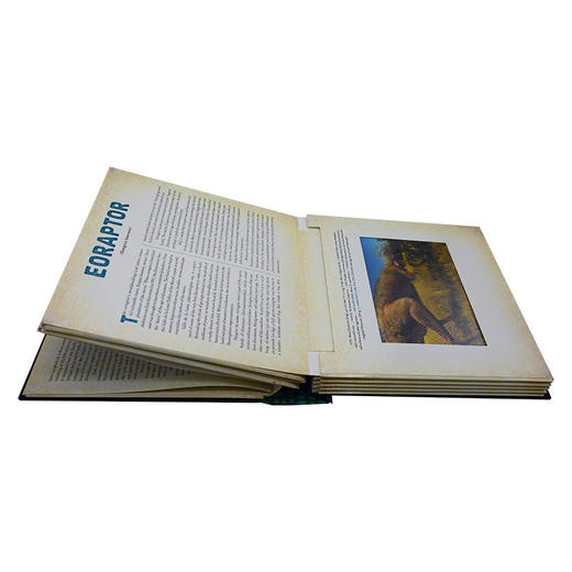【中商原版】光与影视觉书系列 恐龙 会动的3D图片书 英文原版 Dinosaur A Photicular Book 精装 动物百科百科书 商品图3