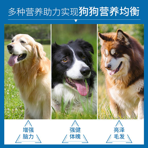 麦富迪狗粮营养森林10kg小型犬成犬泰迪雪纳瑞比熊贵宾通用型20斤 商品图2