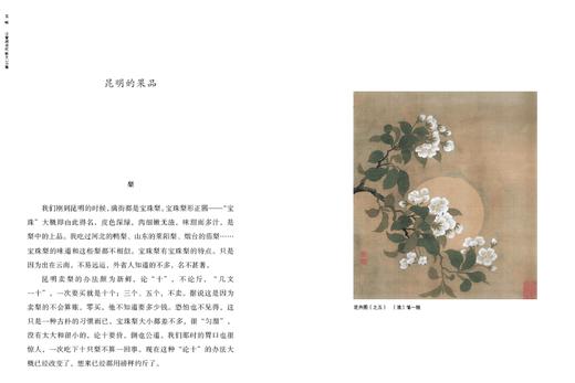 《五味》：汪曾祺谈吃文章38篇 商品图1