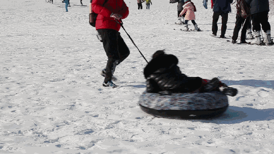 560_314gif 动态图 动图