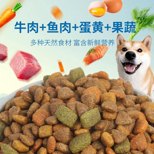 麦富迪狗粮营养森林10kg小型犬成犬泰迪雪纳瑞比熊贵宾通用型20斤 商品图1