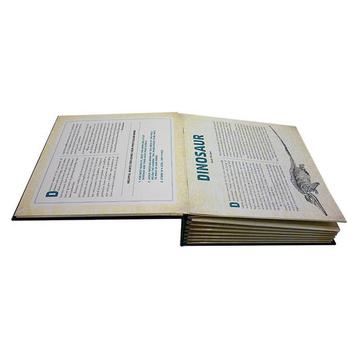 【中商原版】光与影视觉书系列 恐龙 会动的3D图片书 英文原版 Dinosaur A Photicular Book 精装 动物百科百科书 商品图4