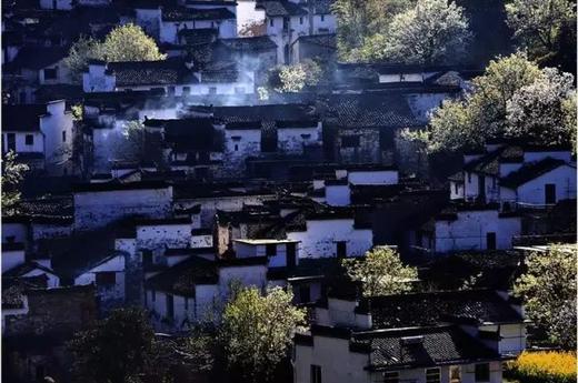 皖南油菜花季丨 三清山（入住“山上最好酒店”女神宾馆）、“云上油菜花”石潭、查平坦、江岭、庆源6天摄影团 商品图4