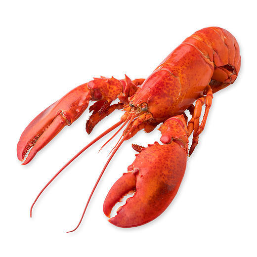 【备用】【砍价19.9元购】加拿大熟冻 波士顿龙虾(350g—400g) 商品图0