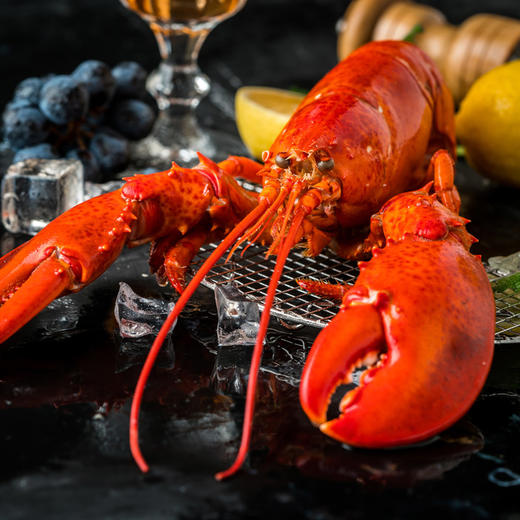 【备用】【砍价19.9元购】加拿大熟冻 波士顿龙虾(350g—400g) 商品图2