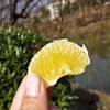 【团购特惠】怀化黄金贡柚，清甜可口，有桔子的香甜和柚子的清爽~，越放越好吃！ 商品缩略图3