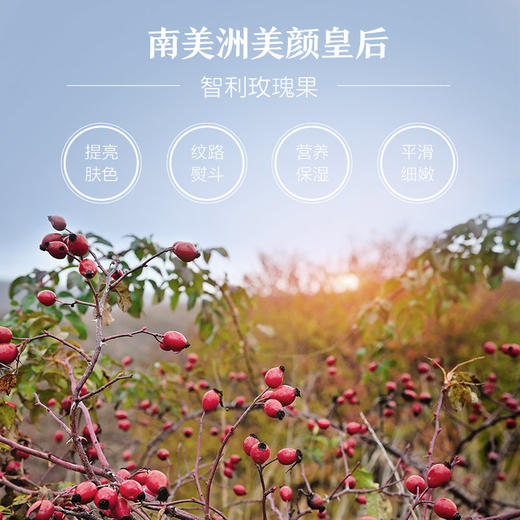 【AFU】阿芙玫瑰果油100ml 商品图2