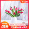 红色郁金香 商品缩略图0