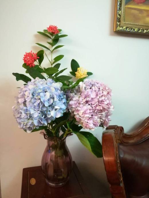 马蹄莲10枝19元 商品图7