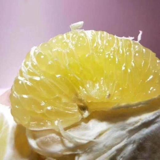 【团购特惠】怀化黄金贡柚，清甜可口，有桔子的香甜和柚子的清爽~，越放越好吃！ 商品图2