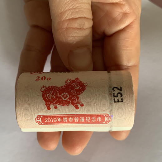 2019生肖猪年纪念币 商品图5