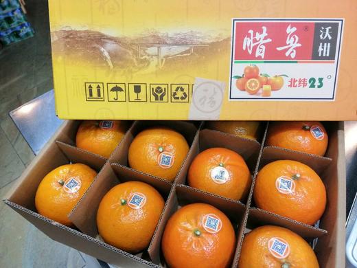 腊鲁沃柑24个礼盒装 商品图0